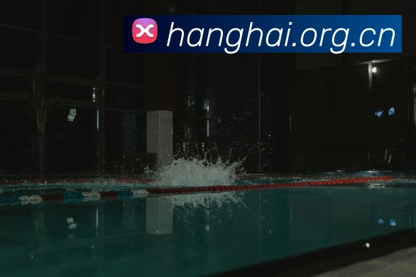 国际米兰官方网站平台生态图